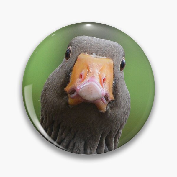 Item preview, Greylag Portrait designed and sold by ClaireChown.