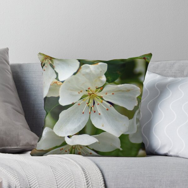 Item preview, Crabapple blossoms.. designed and sold by FotoBloke.