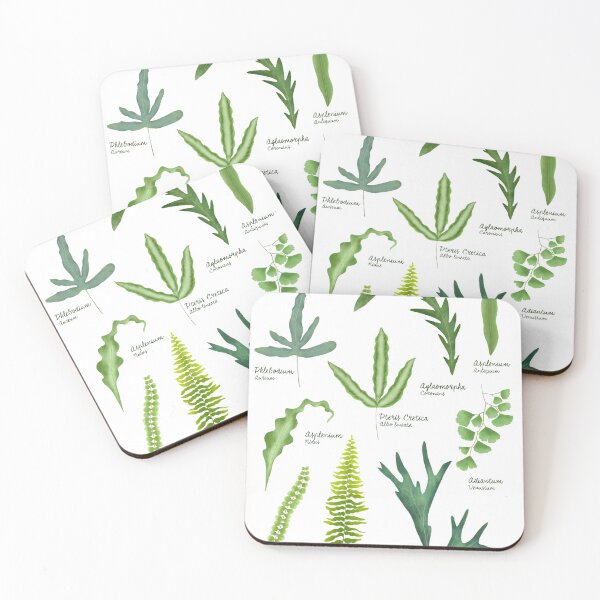 Item preview, Ferns species collection botanical illustration designed and sold by Onyria Art.