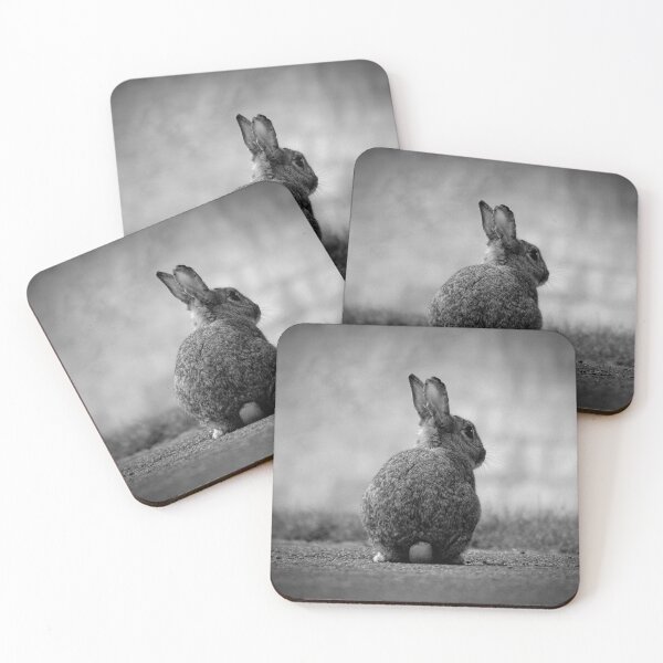 Artikelvorschau, Wildes Kaninchen in Monochrom entworfen und verkauft von ClaireChown.