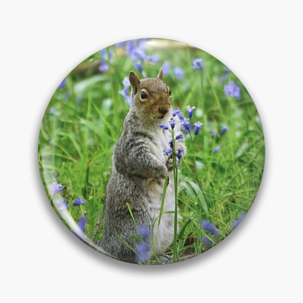 Item preview, Squirrel amongst bluebells  designed and sold by ClaireChown.