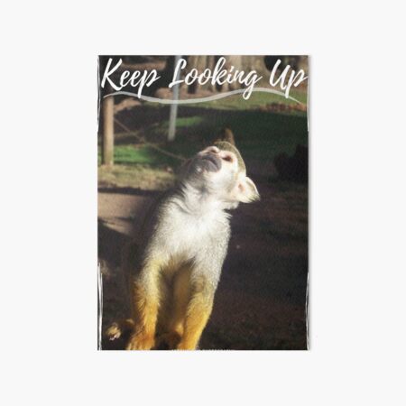 Keep Looking Up Wall Art Redbubble
