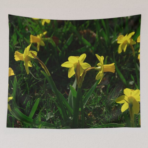 Item preview, Daffodils designed and sold by Treemonk.