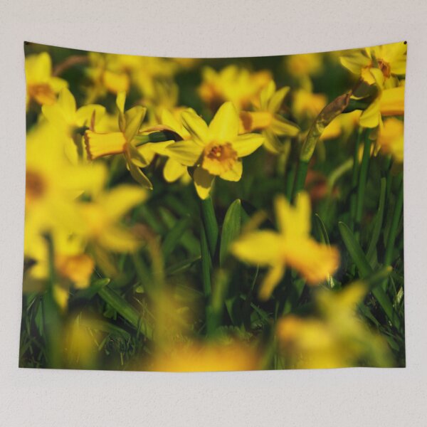 Item preview, In the daffodil field designed and sold by Treemonk.