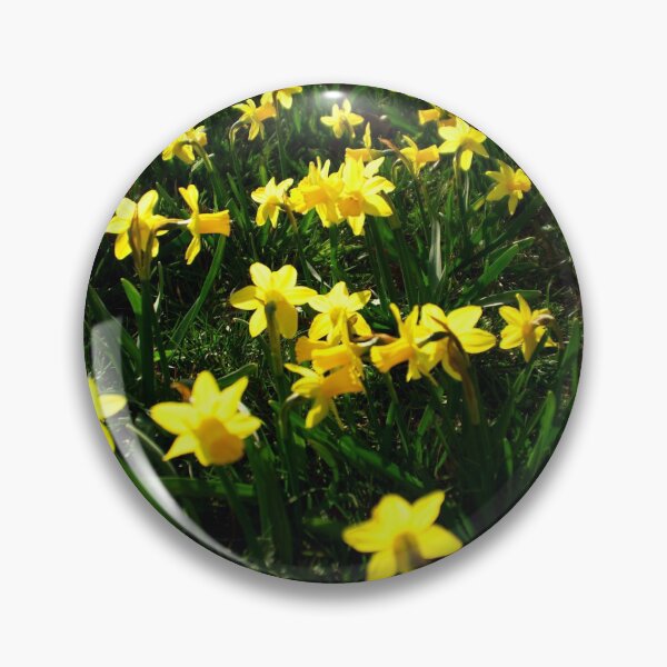 Item preview, A daffodil field designed and sold by Treemonk.