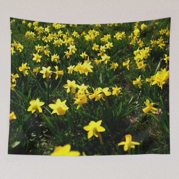 Item preview, A daffodil field designed and sold by Treemonk.