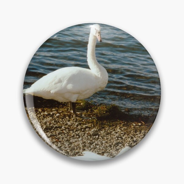 Item preview, Swan song designed and sold by tomg.