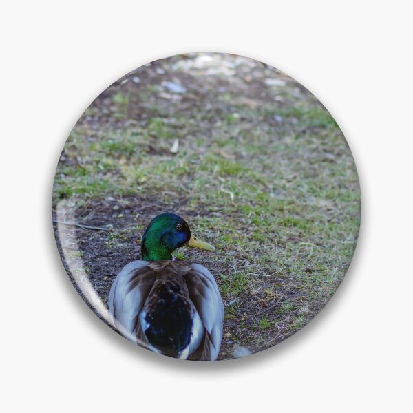Item preview, Mallard sitting on land designed and sold by lena-maximova.