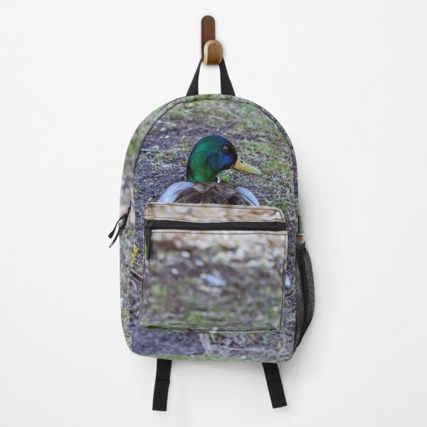 Item preview, Mallard sitting on land designed and sold by lena-maximova.