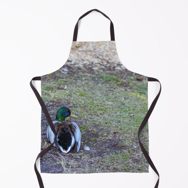 Item preview, Mallard sitting on land designed and sold by lena-maximova.