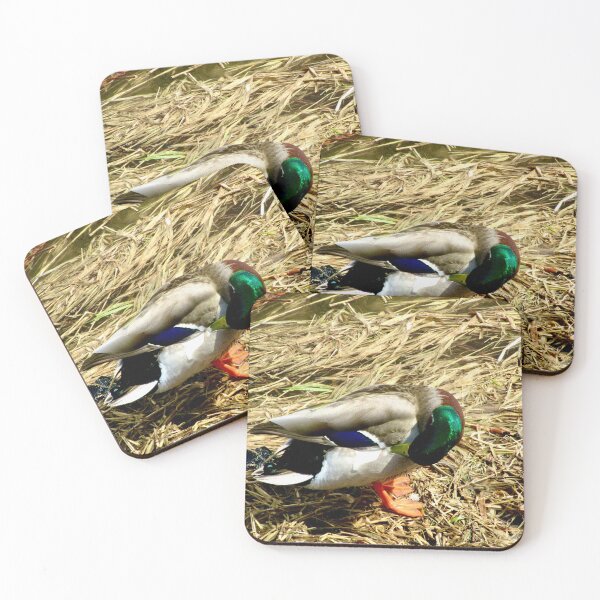 Item preview, Mallard Drake designed and sold by Shulie1.