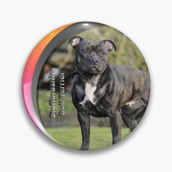 Item preview, Pet Breeds Staffordshire Bull Terrier Dog Design now available on a wide range of clothing, stationery and giftware. designed and sold by The Big Gift Shop.