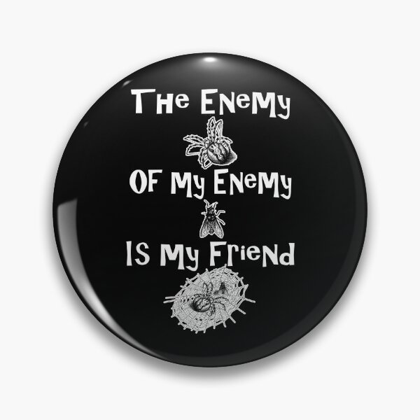 Item preview, Enemy of my Enemy is my Friend Spider and Fly designed and sold by DebiPhillips.