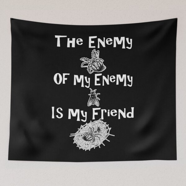 Item preview, Enemy of my Enemy is my Friend Spider and Fly designed and sold by DebiPhillips.