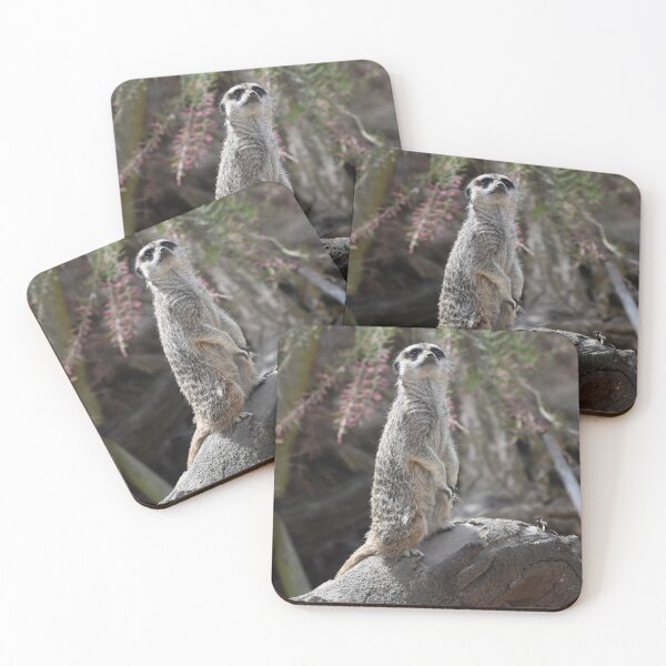 Item preview, Are you watching designed and sold by gabriellaksz.