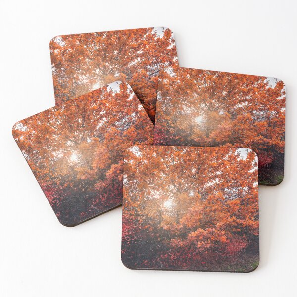 Item preview, Shining through the autumn leaves designed and sold by Dejan Travica.