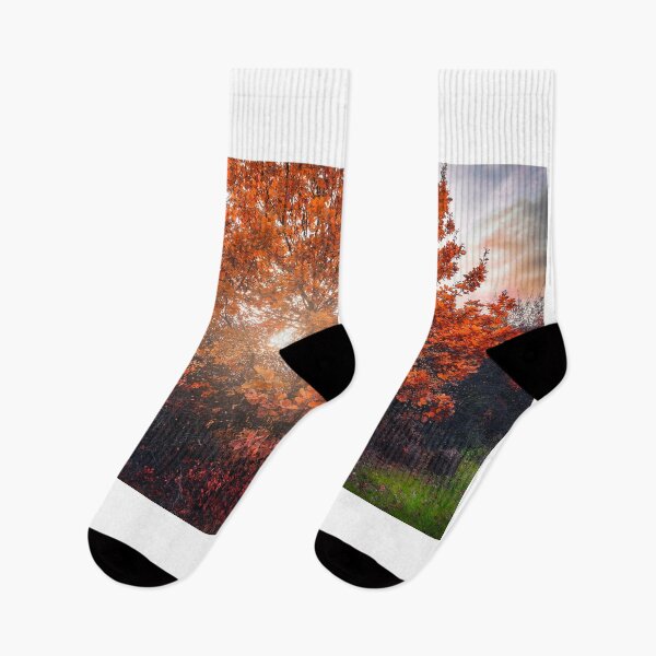 Item preview, Shining through the autumn leaves designed and sold by Dejan Travica.