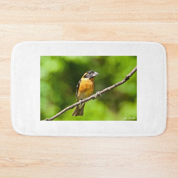 Item preview, Male Black Headed Grosbeak designed and sold by Jeff Goulden Photography.