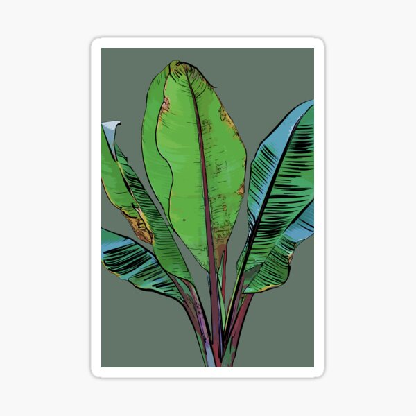 Banana Plant Sticker