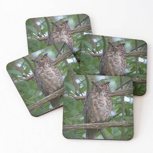 Item preview, A Great Horned Owl Scanning Her Territory designed and sold by Kevin Komiega.