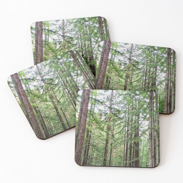 Item preview, Road in the forest designed and sold by teesonwheels.