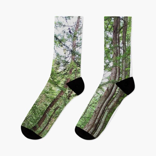 Item preview, Road in the forest designed and sold by teesonwheels.