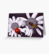 Selective colour Greeting Card