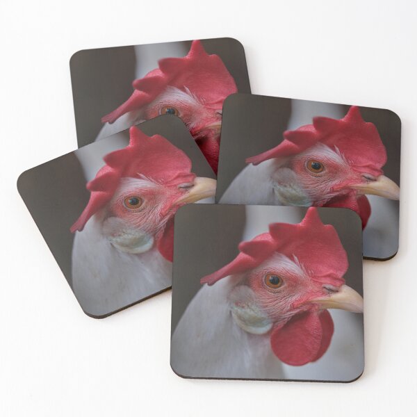 Item preview, White Leghorn Hen Close Up designed and sold by AmberCamera.