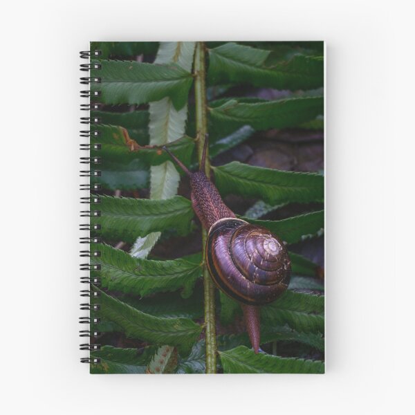 Item preview, Adventurous Snail designed and sold by TaylorKorynn.