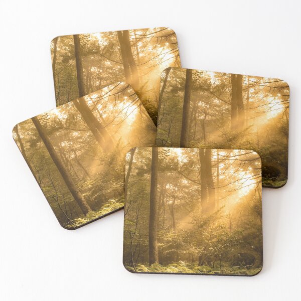 Item preview, Sunrise In The Woods designed and sold by BlueMtStudios.