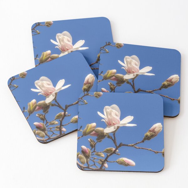 Item preview, Early Magnolias designed and sold by Owed To Nature.