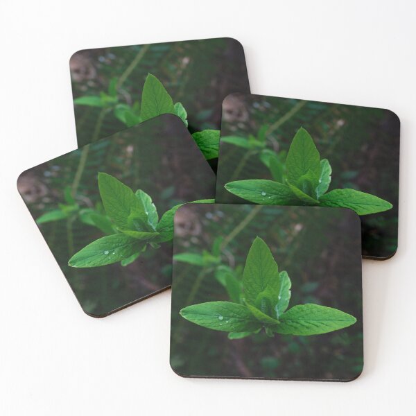 Item preview, Indian Plum - Oemleria designed and sold by TaylorKorynn.