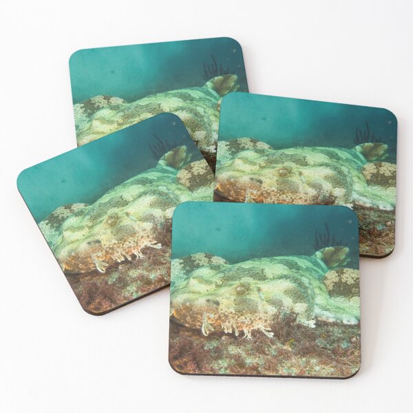 Item preview,  Wobbegong - Carpet Shark designed and sold by pacom.