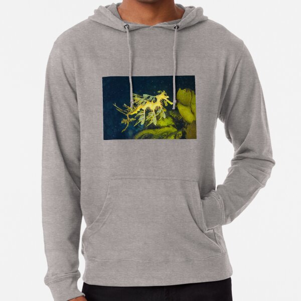 Leafy Sea Dragon Lightweight Hoodie