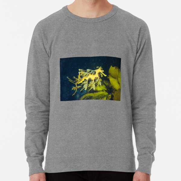 Leafy Sea Dragon Lightweight Sweatshirt