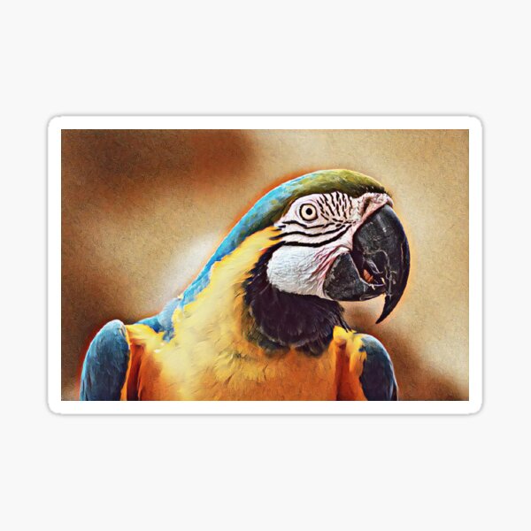 New World Parrot Sticker