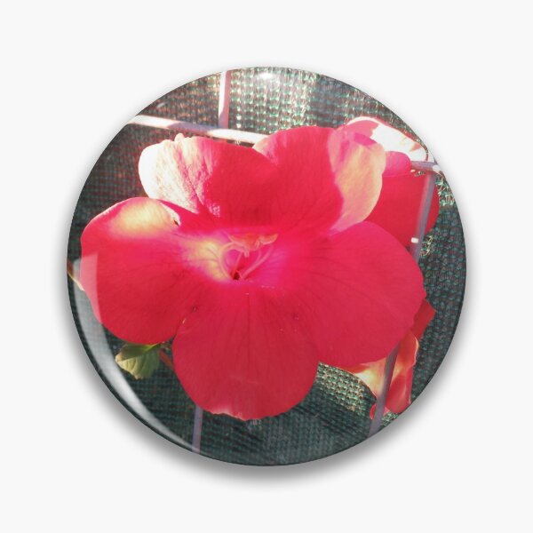 Item preview, Chinese trumpet vine designed and sold by greentiger1.