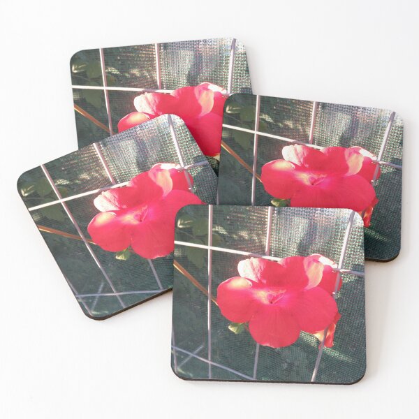 Item preview, Chinese trumpet vine designed and sold by greentiger1.