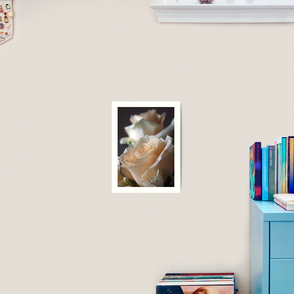 Apricots Art Print