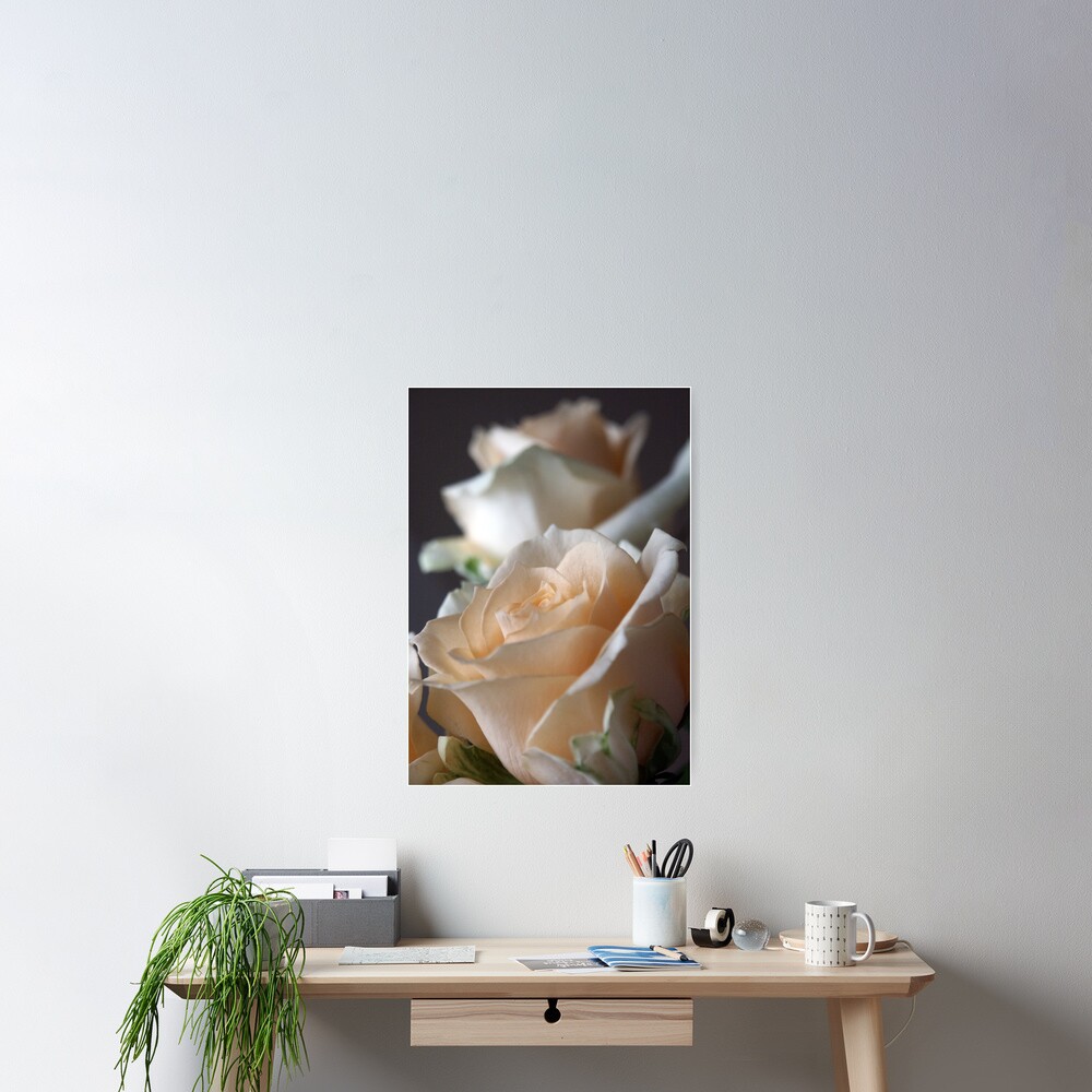 Apricots Poster