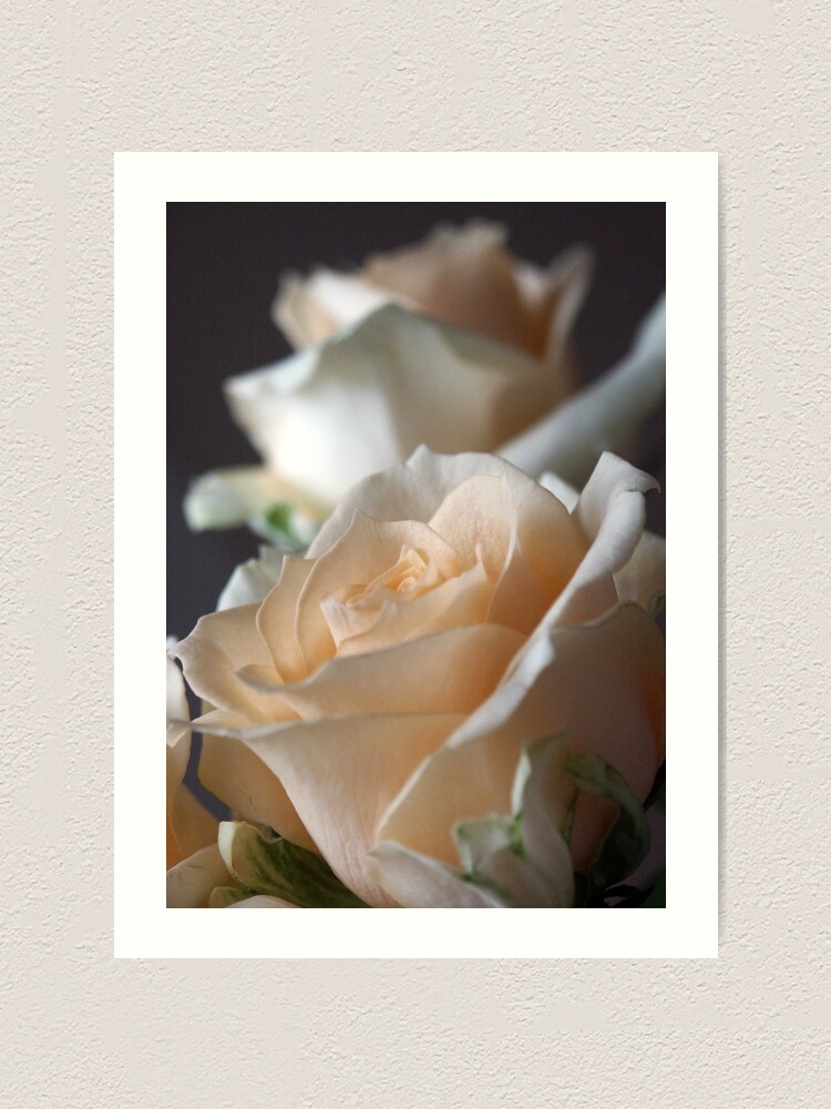 Alternate view of Apricots Art Print