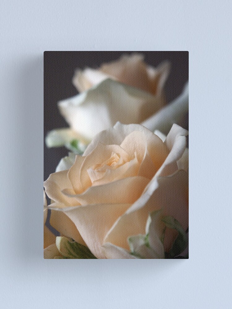 Alternate view of Apricots Canvas Print