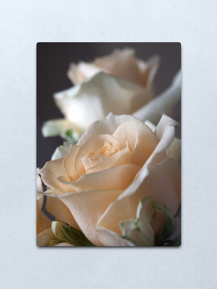 Alternate view of Apricots Metal Print