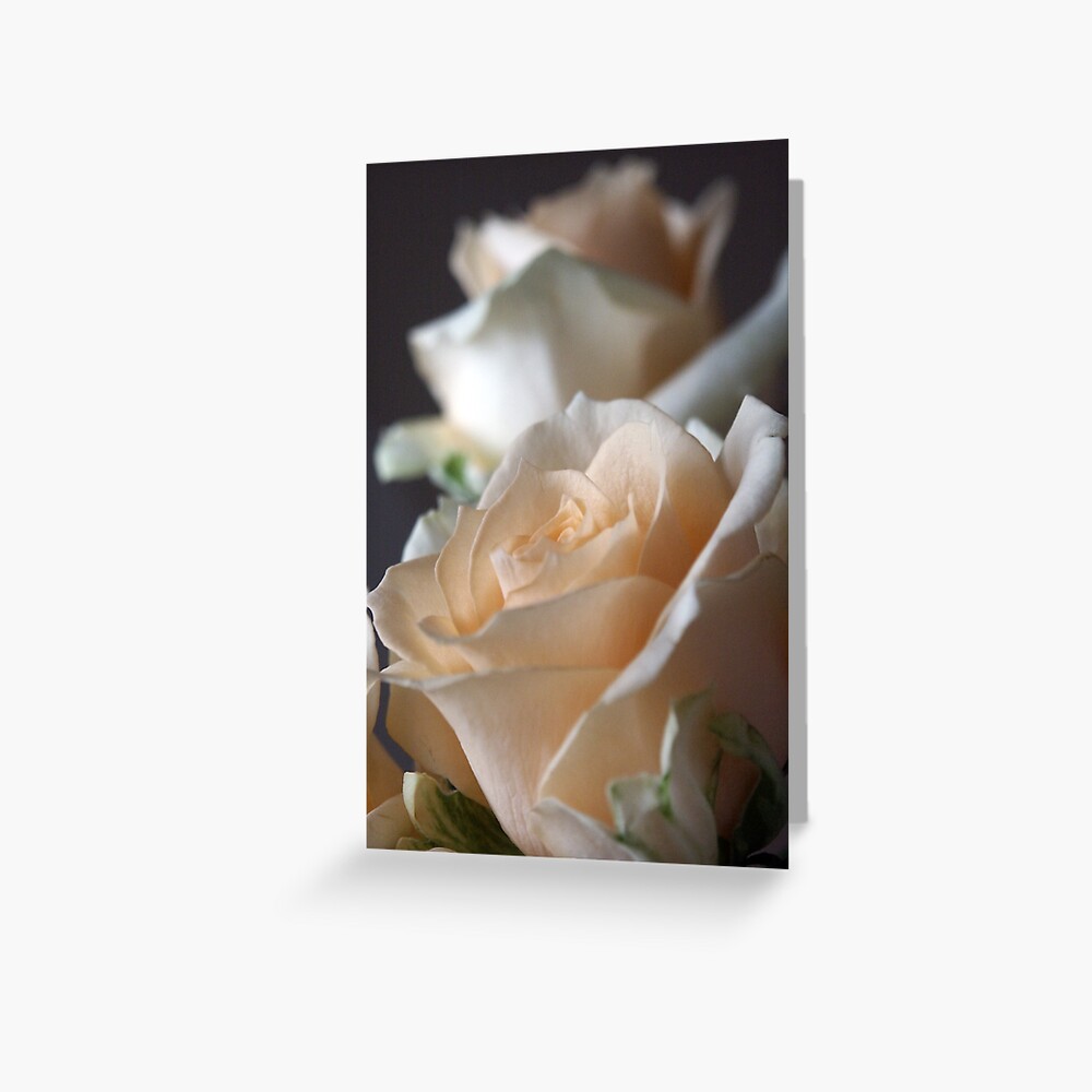 Apricots Greeting Card