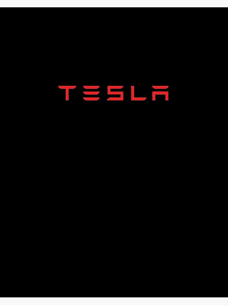 Tesla merch shop