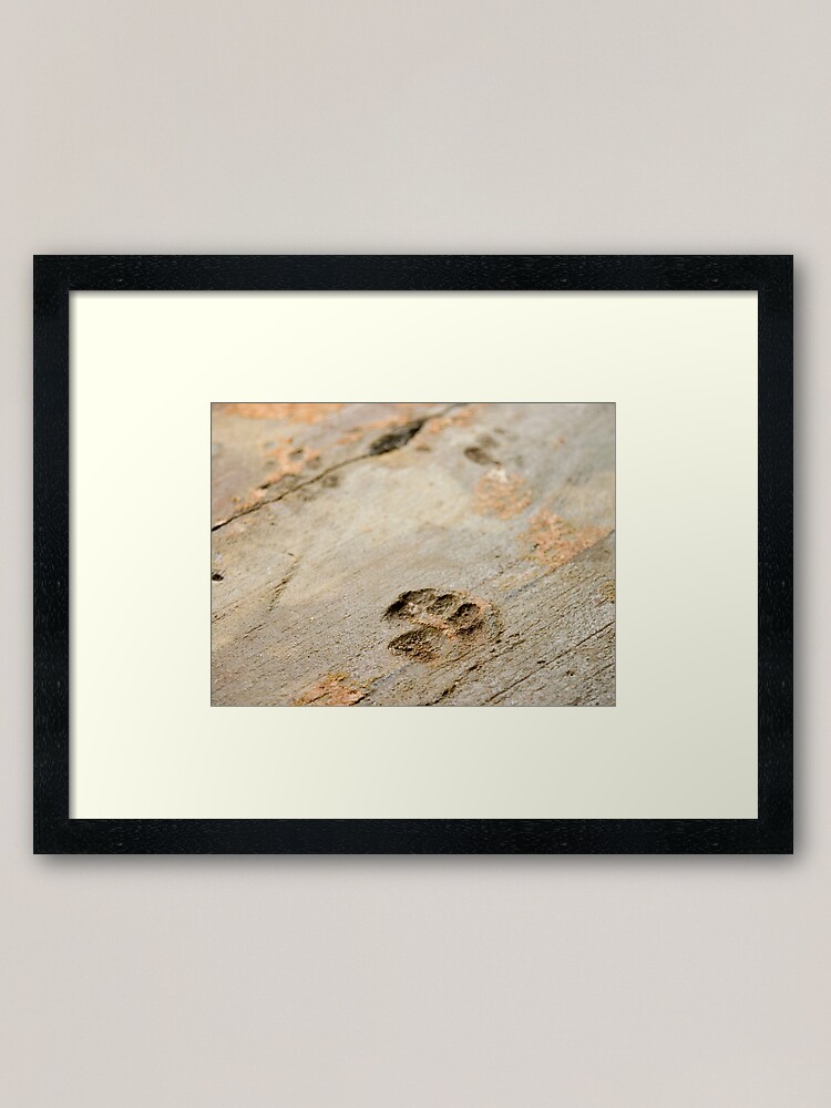 Alternate view of Ghost of Pussycats Past Framed Art Print
