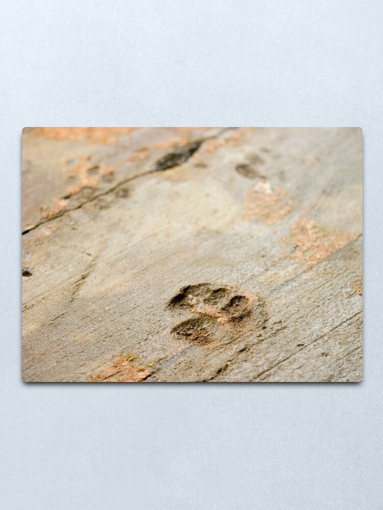 Alternate view of Ghost of Pussycats Past Metal Print