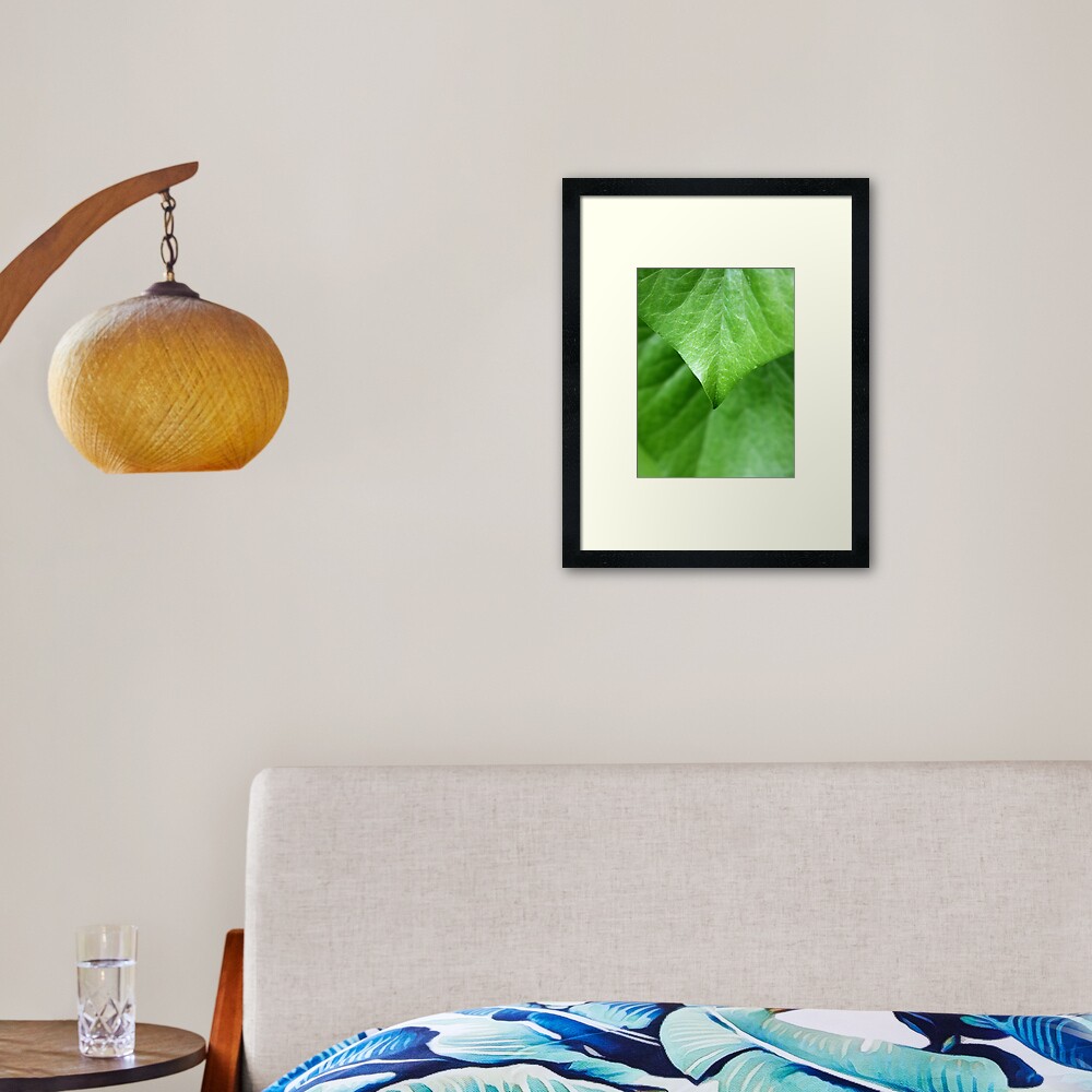 Ivy Framed Art Print