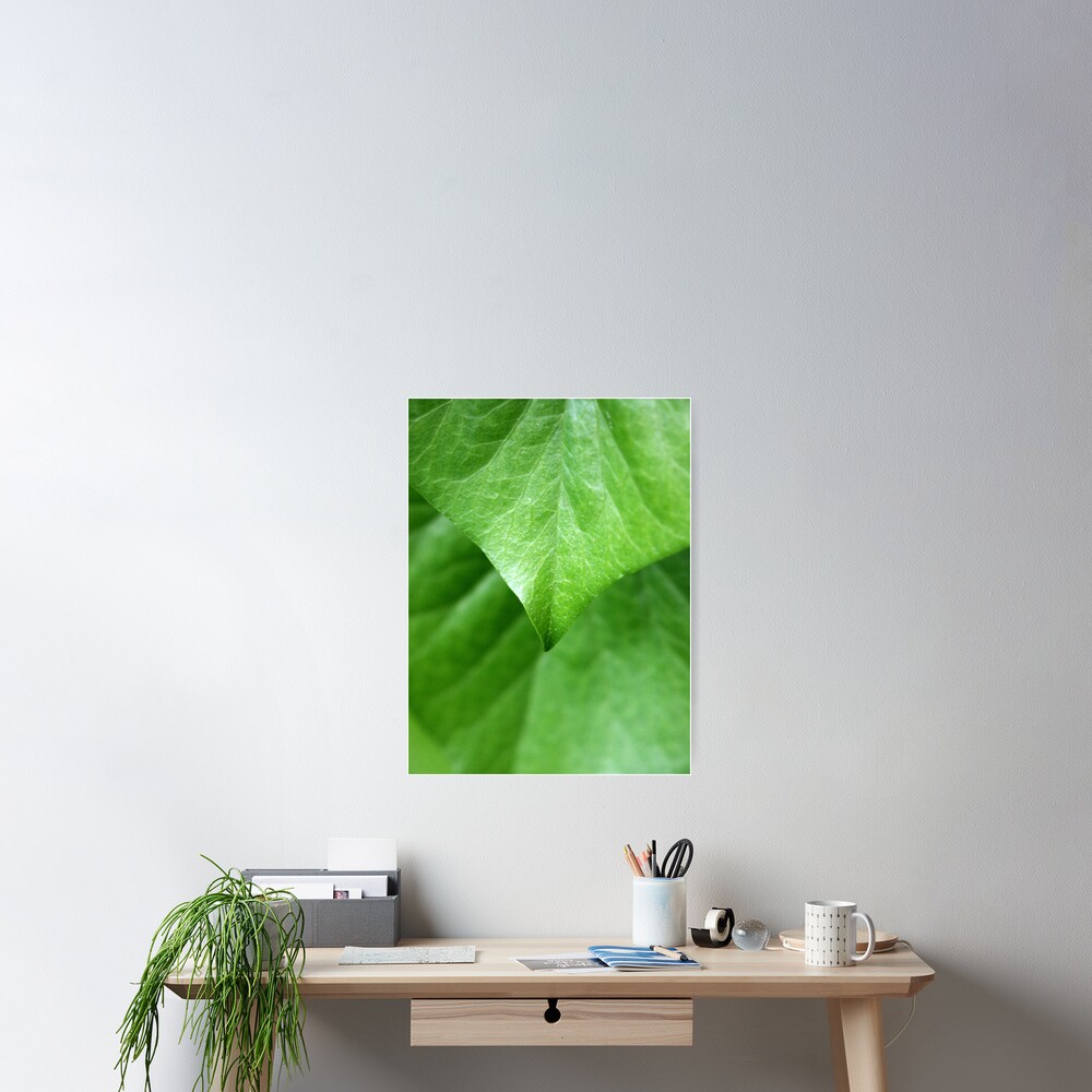 Ivy Poster