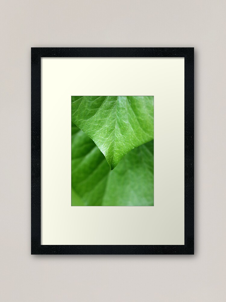 Alternate view of Ivy Framed Art Print